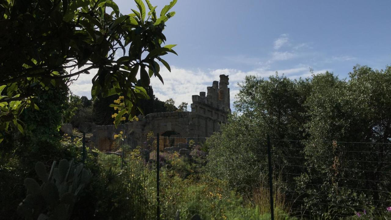 A Casa Di Peppino Villa Greco Tyndaris Extérieur photo