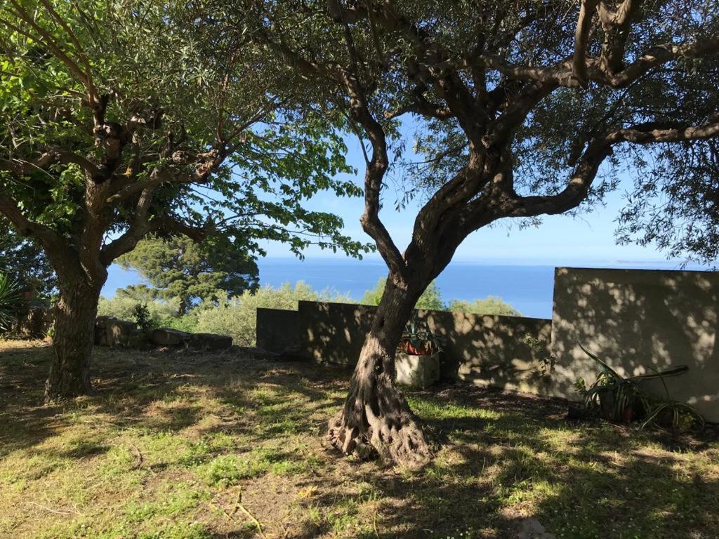 A Casa Di Peppino Villa Greco Tyndaris Extérieur photo