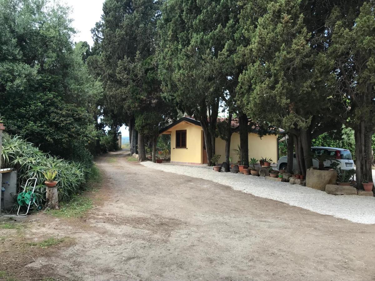 A Casa Di Peppino Villa Greco Tyndaris Extérieur photo